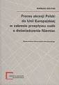 okładka książki - Proces akcesji Polski do Unii Europejskiej