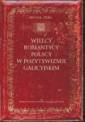 okładka książki - Wielcy romantycy w pozytywizmie