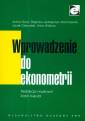 okładka książki - Wprowadzenie do ekonometrii