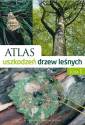 okładka książki - Atlas uszkodzeń drzew leśnych