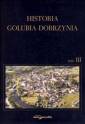 okładka książki - Historia Golubia-Dobrzynia. Tom