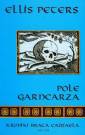 okładka książki - Pole Garncarza. Seria: Kroniki