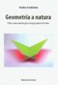 okładka książki - Geometria a natura. Polska sztuka