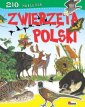 okładka książki - Zwierzęta Polski