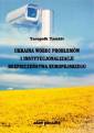 okładka książki - Ukraina wobec problemów i instytucjonalizacji...