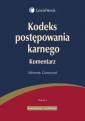 okładka książki - Kodeks postępowania karnego. Komentarz