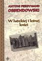 okładka książki - W ludzkiej i leśnej kniei