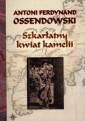 okładka książki - Szkarłatny kwiat kamelii