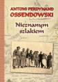 okładka książki - Nieznanym Szlakiem