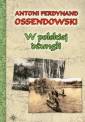 okładka książki - W polskiej dżungli (Polesie)