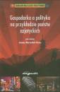 okładka książki - Gospodarka a polityka na przykładzie