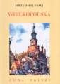 okładka książki - Wielkopolska