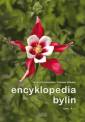 okładka książki - Encyklopedia bylin. Tom I A-J