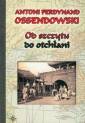 okładka książki - Od szczytu do otchłani