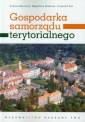 okładka książki - Gospodarka samorządu terytorialnego