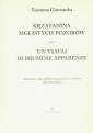 okładka książki - Krzątanina mglistych pozorów