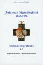 okładka książki - Żołnierze niepodległości 1863-1938.