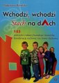 okładka książki - Wchodzi, wchodzi Stach na dach