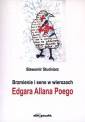 okładka książki - Brzmienie i sens w wierszach Edgara