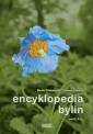 okładka książki - Encyklopedia bylin. Tom II K-Z