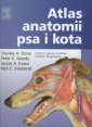 okładka książki - Atlas anatomii psa i kota