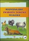 okładka książki - Rozpoznajemy zwierzęta domowe po