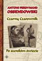 okładka książki - Czarny Czarownik. Po szerokim świecie