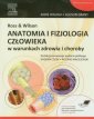 okładka książki - Ross & Wilson. Anatomia i fizjologia