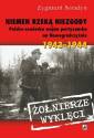 okładka książki - Niemen rzeką niezgody. Polsko-sowiecka