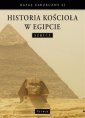 okładka książki - Historia kościoła w Egipcie. Szkice