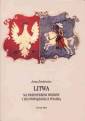 okładka książki - Litwa na przestrzeni wieków i jej