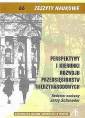 okładka książki - Perspektywy i kierunki rozwoju