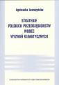 okładka książki - Strategie polskich przedsiębiorstw