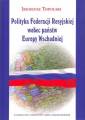 okładka książki - Polityka Federacji Rosyjskiej wobec