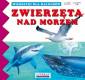 okładka książki - Wierszyki dla maluchów. Zwierzęta