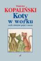 okładka książki - Koty w worku, czyli z dziejów pojęć