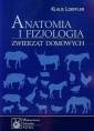 okładka książki - Anatomia i fizjologia zwierząt