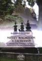 okładka książki - Między wschodem a zachodem. Studia