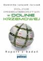 okładka książki - Polskie przedsiębiorstwa w Dolinie