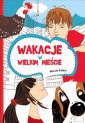 okładka książki - Wakacje w wielkim mieście