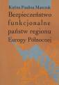 okładka książki - Bezpieczeństwo funkcjonalne państw