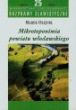 okładka książki - Mikrotoponimia powiatu włodawskiego