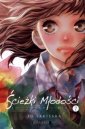 okładka książki - Ścieżki młodości. Ao Haru Ride.