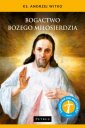 okładka książki - Bogactwo Bożego Miłosierdzia