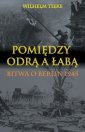 okładka książki - Pomiędzy Odrą a Łabą. Bitwa o Berlin