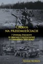 okładka książki - Czołgi na przedmieściach. 7 Dywizja