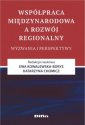 okładka książki - Współpraca międzynarodowa a rozwój