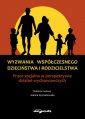 okładka książki - Wyzwania współczesnego dzieciństwa