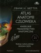 okładka książki - Atlas anatomii człowieka. Angielskie