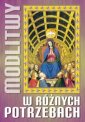 okładka książki - Modlitwy w różnych potrzebach